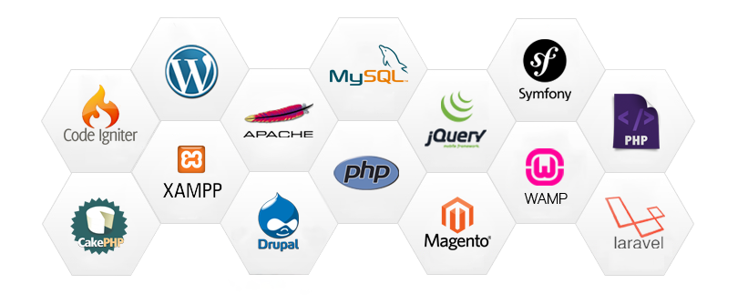 web design and development, android applications, web hosting, all kinds of SEO services, digital marketing, SMM, Bulk SMS, Wordpress development, Ecommerce website development, ERP applications and API development, Website Designing and Development Company - Imagica Infotech